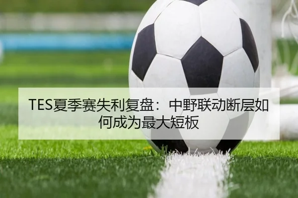 TES夏季赛失利复盘：中野联动断层如何成为最大短板